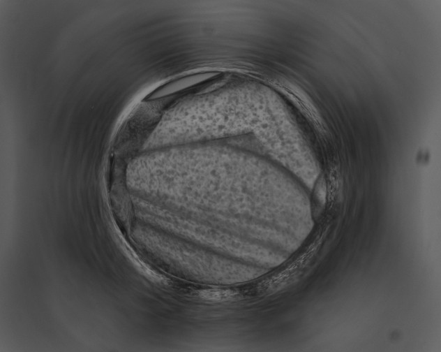 X0000095530804200801041245