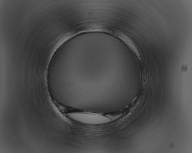 X0000095530805200801041245