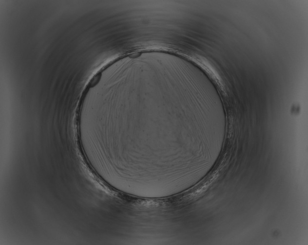 X0000095530806200801041245