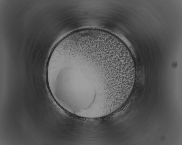 X0000095530807200801041244