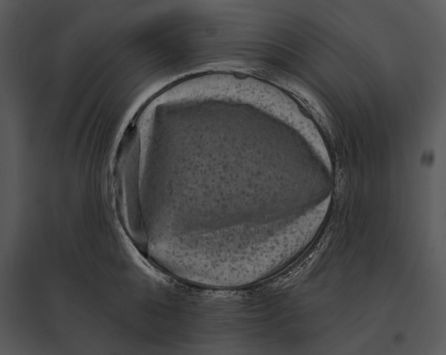 X0000095530808200801041244