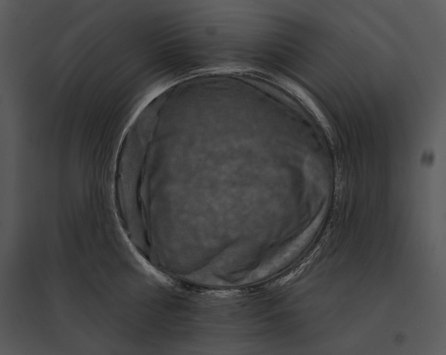 X0000095530810200801041244