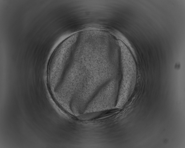 X0000095530811200801041244