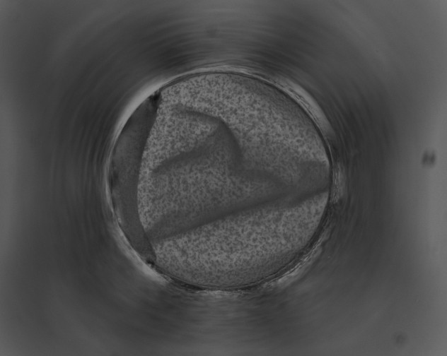 X0000095530812200801041244