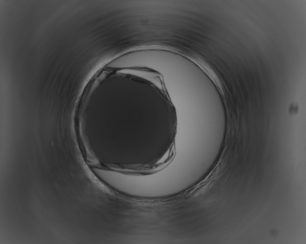 X0000095530813200801041244