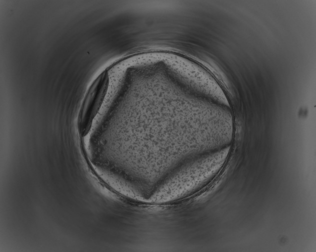 X0000095530814200801041244