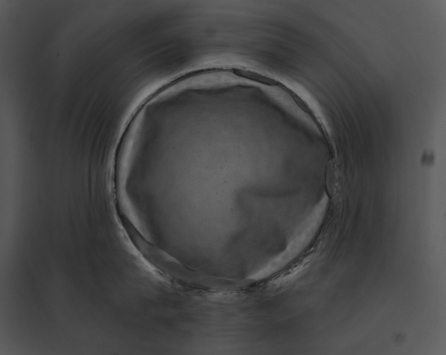 X0000095530815200801041244