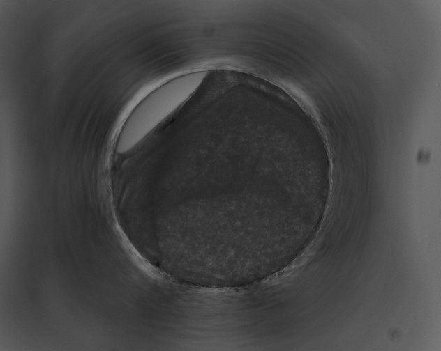 X0000095530816200801041244