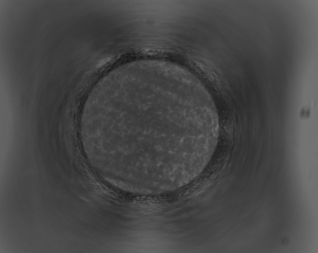 X0000095530817200801041243