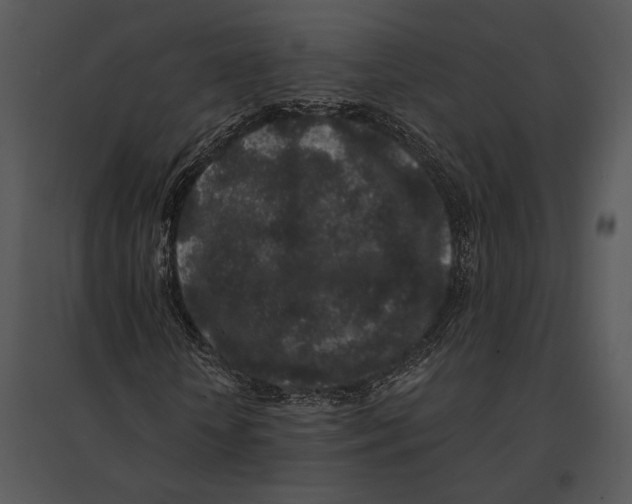 X0000095530818200801041244