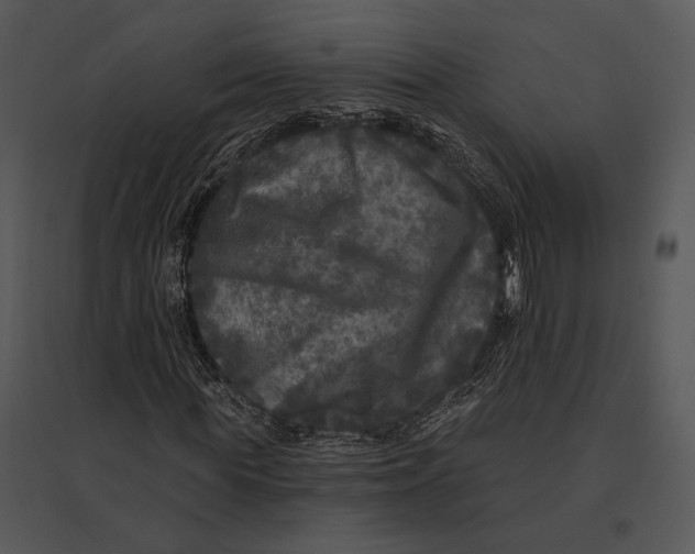 X0000095530819200801041244