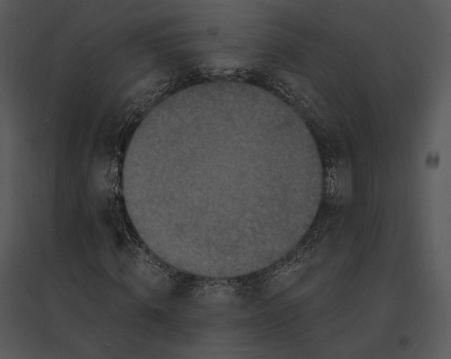 X0000095530820200801041244