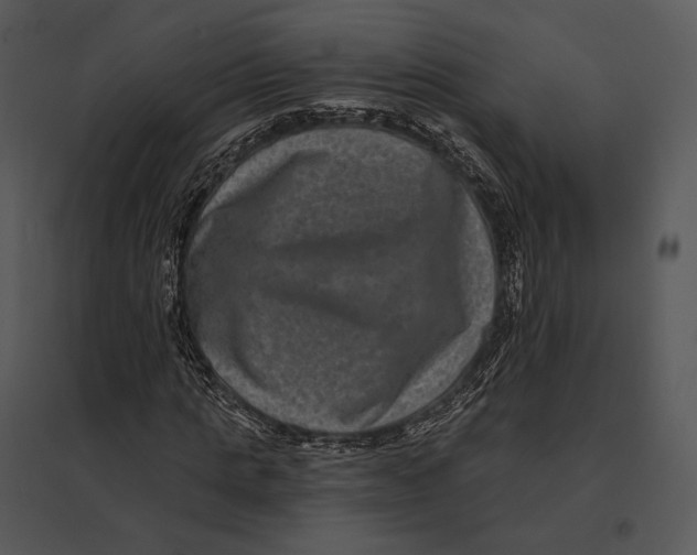 X0000095530821200801041244