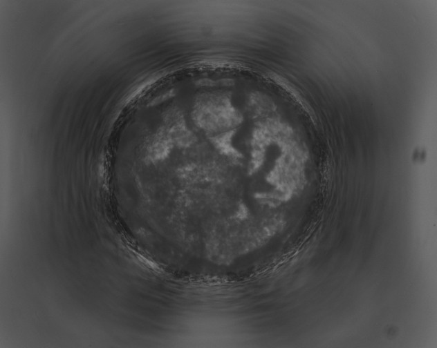 X0000095530823200801041244