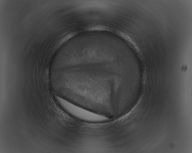 X0000095530825200801041244