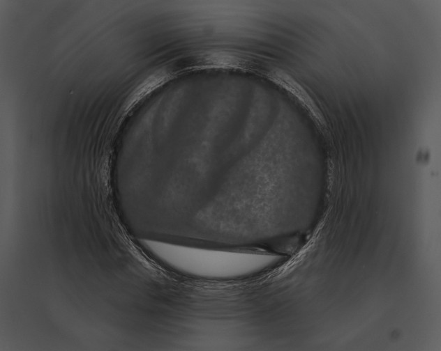 X0000095530826200801041244