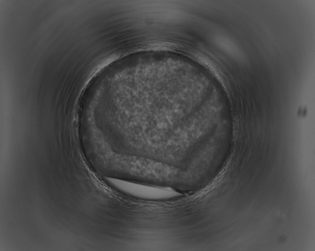 X0000095530827200801041244