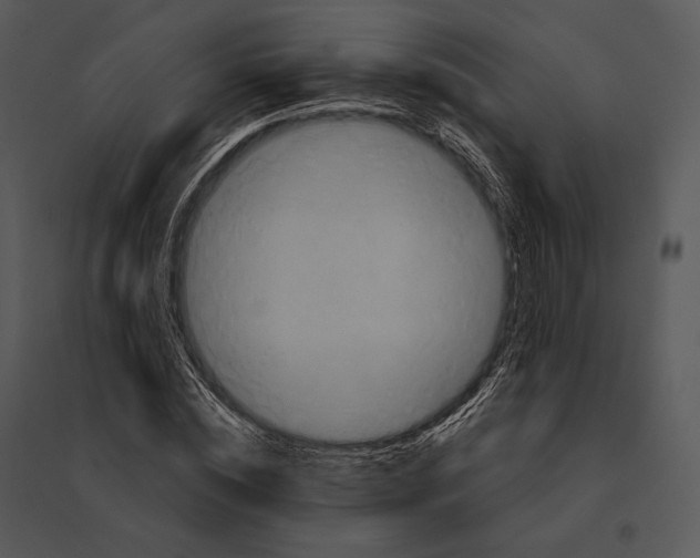 X0000095530828200801041244