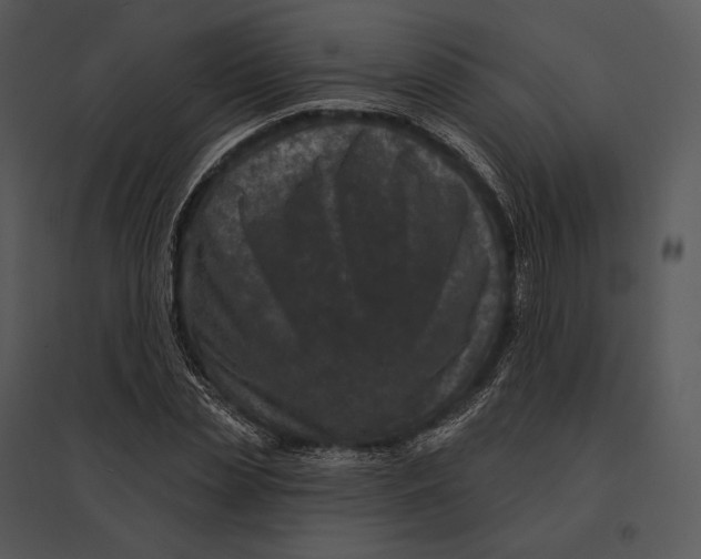 X0000095530829200801041244