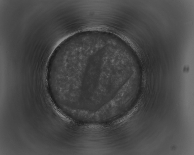 X0000095530830200801041244