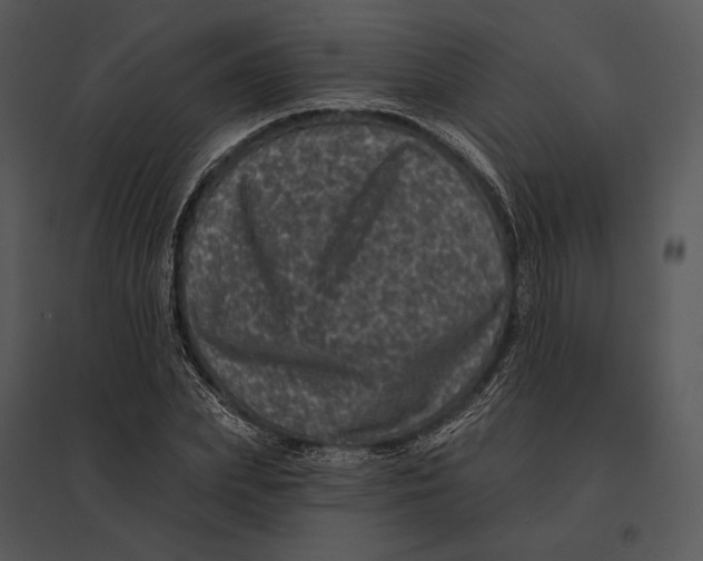 X0000095530831200801041244