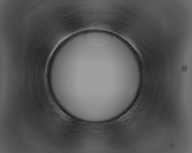 X0000095530832200801041244