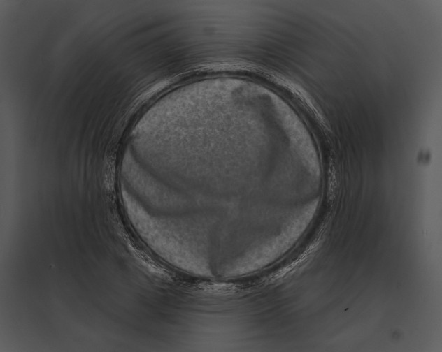 X0000095530833200801041244