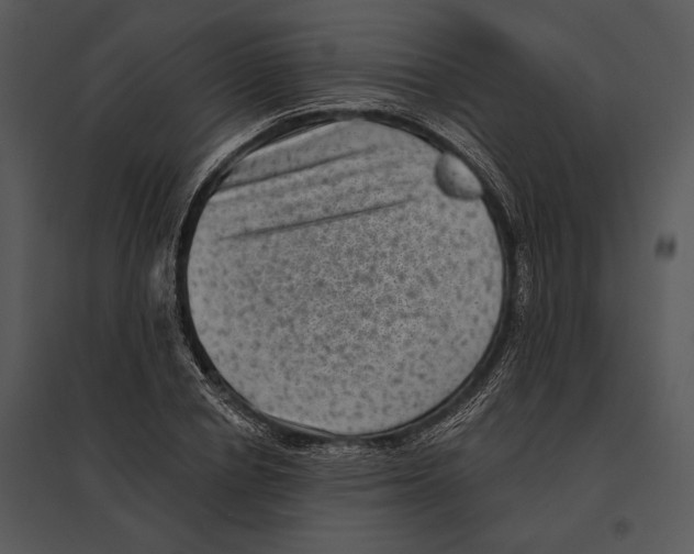 X0000095530834200801041244