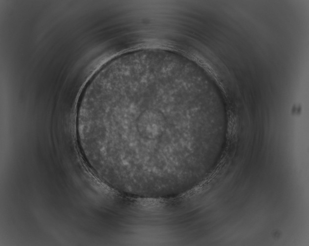 X0000095530836200801041244