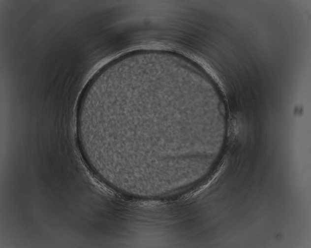 X0000095530837200801041244