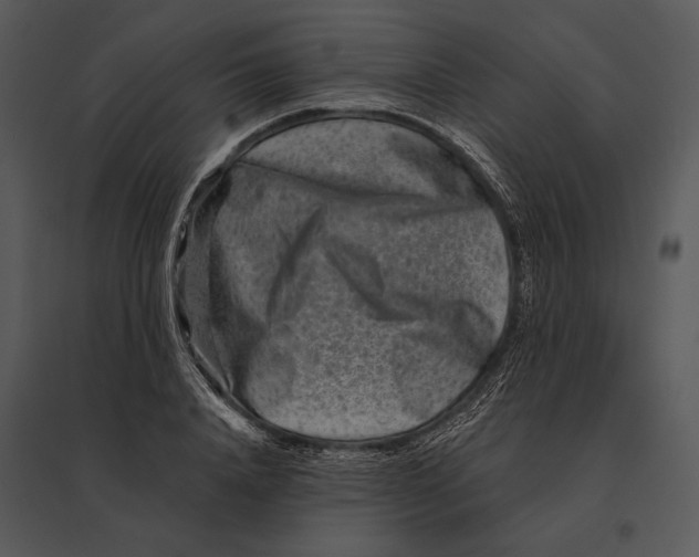 X0000095530840200801041244