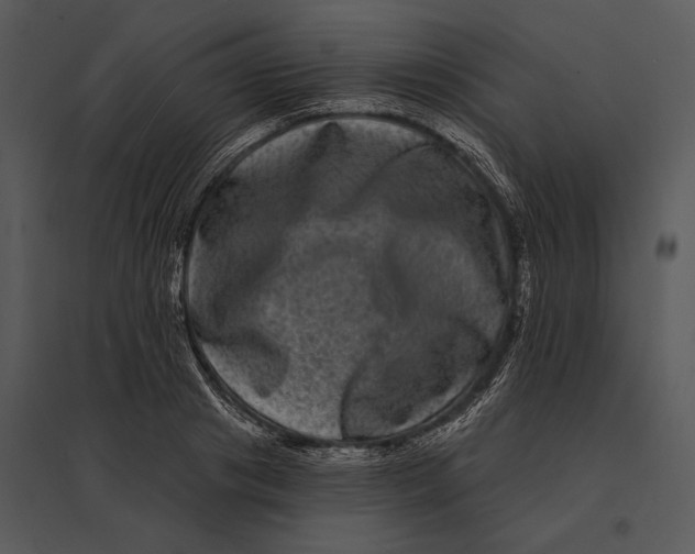 X0000095530841200801041244