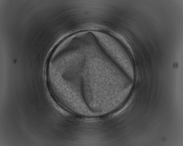 X0000095530843200801041244