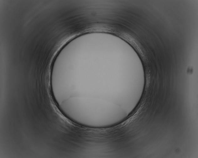 X0000095530844200801041244