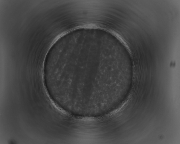 X0000095530845200801041244