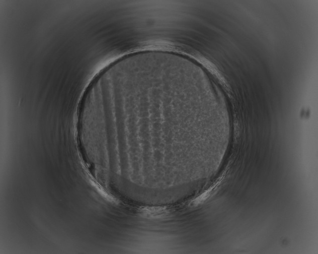 X0000095530846200801041244