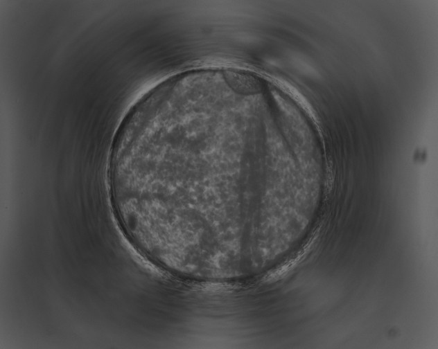 X0000095530847200801041244