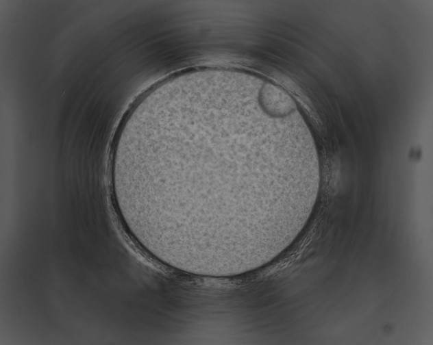 X0000095530848200801041244