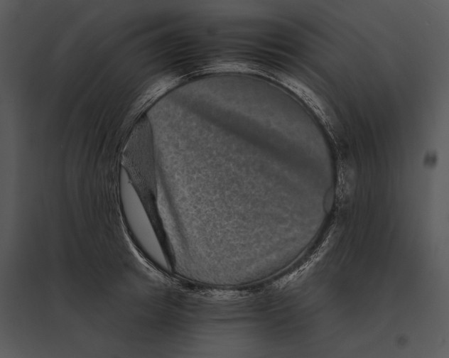 X0000095530849200801041244