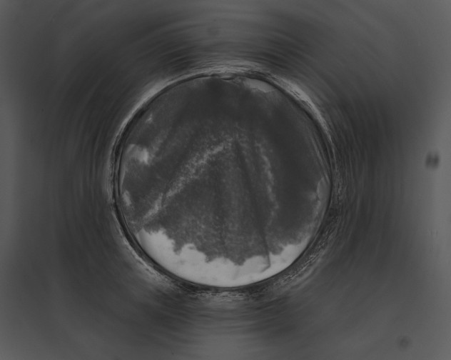 X0000095530851200801041244