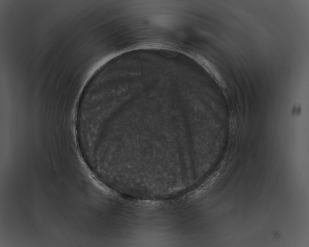 X0000095530854200801041244