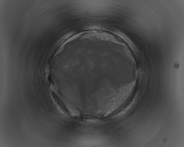 X0000095530857200801041244