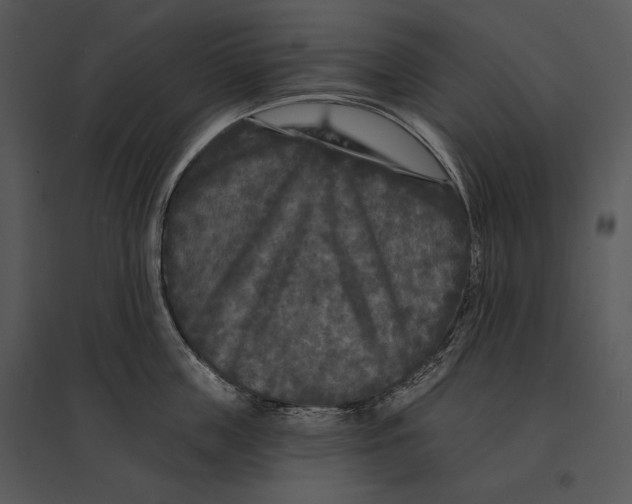 X0000095530859200801041244