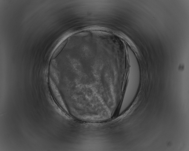 X0000095530860200801041244