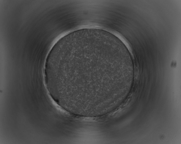 X0000095530861200801041244