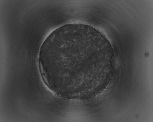 X0000095530863200801041244