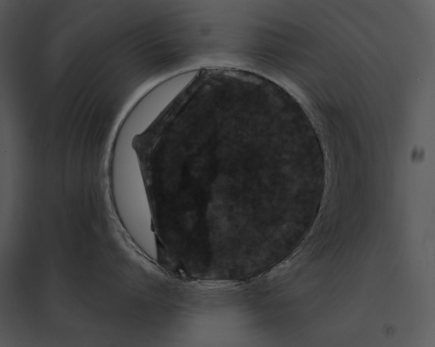 X0000095530864200801041244