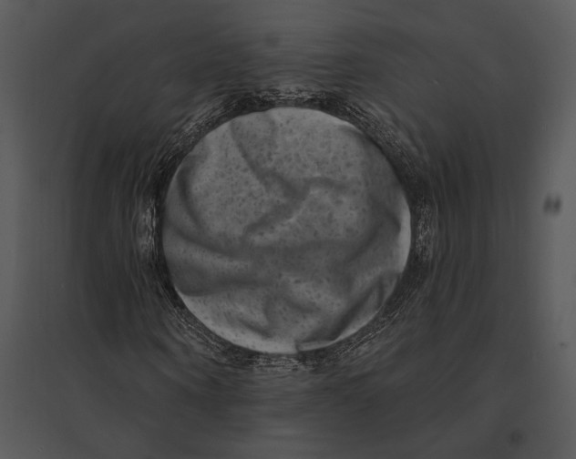 X0000095530866200801041243