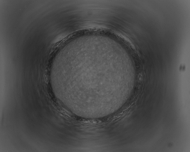 X0000095530869200801041243