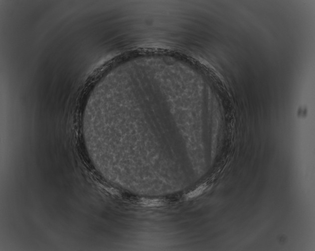 X0000095530870200801041243